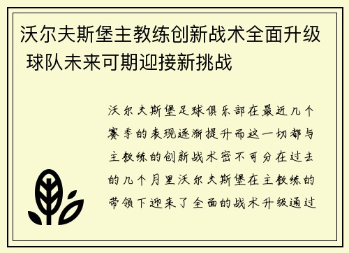 沃尔夫斯堡主教练创新战术全面升级 球队未来可期迎接新挑战