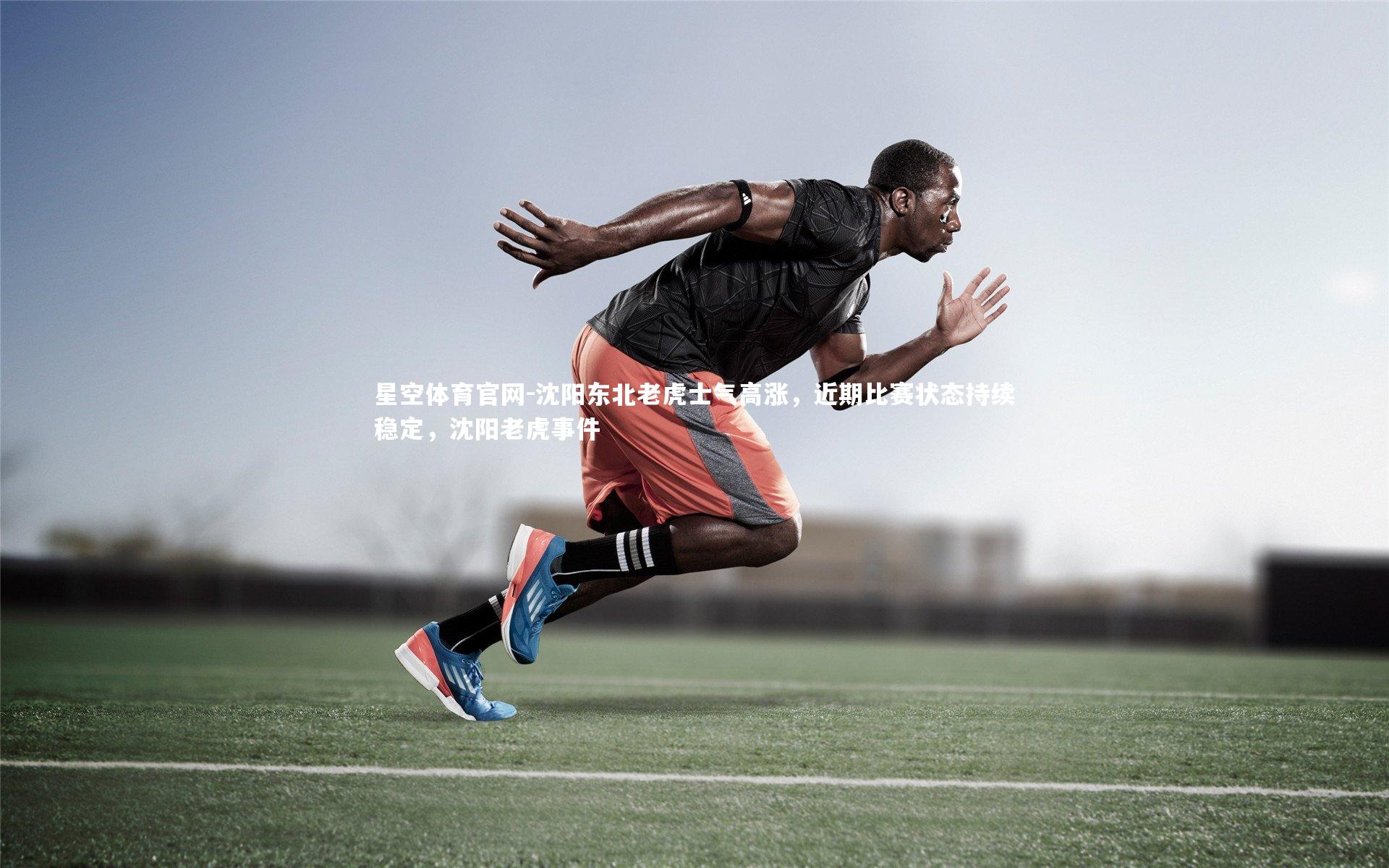 星空体育官网-沈阳东北老虎士气高涨，近期比赛状态持续稳定，沈阳老虎事件